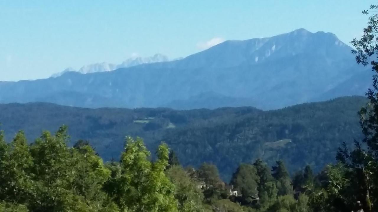 Appartamento Muellnerhaus Millstatt Esterno foto