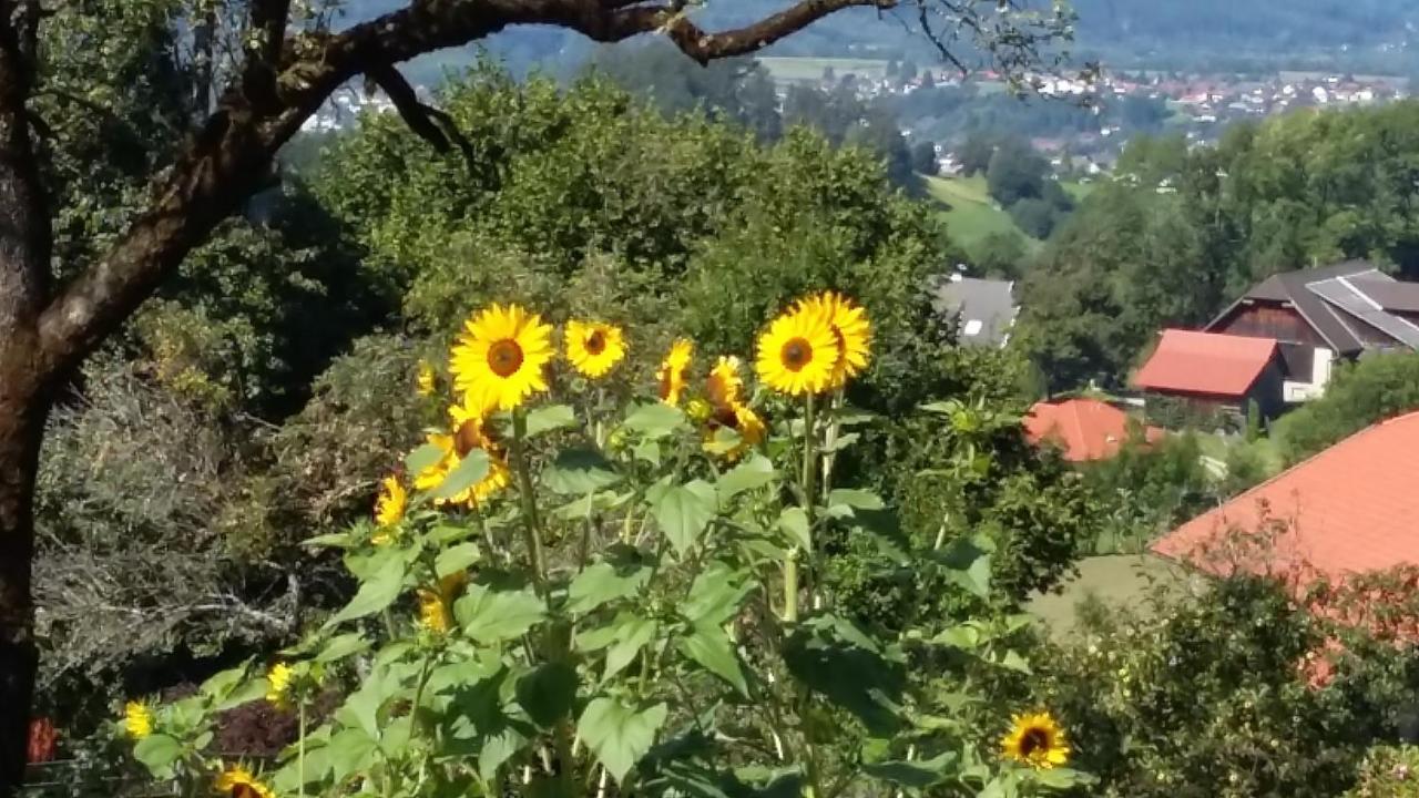 Appartamento Muellnerhaus Millstatt Esterno foto