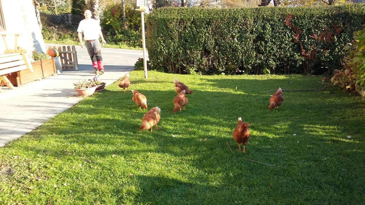 Appartamento Muellnerhaus Millstatt Esterno foto