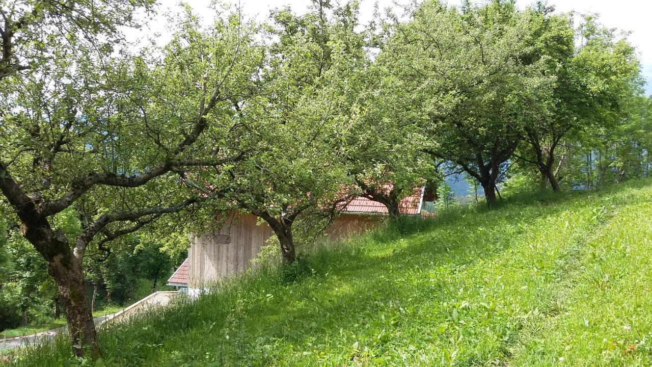 Appartamento Muellnerhaus Millstatt Esterno foto