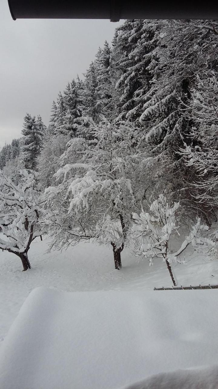 Appartamento Muellnerhaus Millstatt Esterno foto