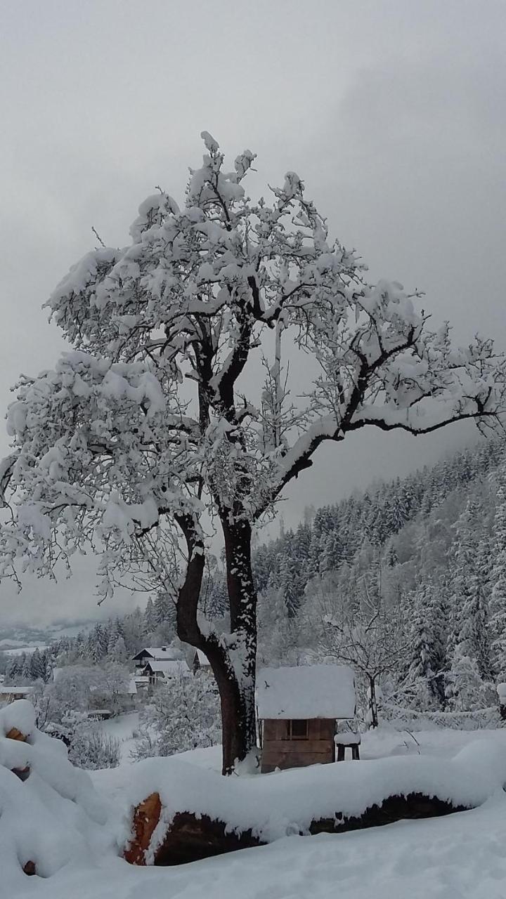 Appartamento Muellnerhaus Millstatt Esterno foto